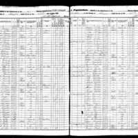 Michael and Johanna Kennedy; 1855 Census