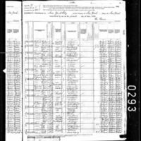 Michael Garragan; 1880 Census