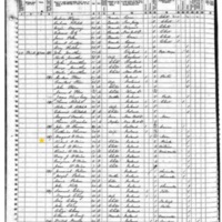 Michael O'Brien; 1855 Census