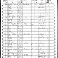 Peter Halpin; 1860 Census