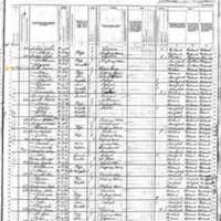 Denis Smith; 1880 Census