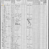 James Collins; 1870 Census (2)