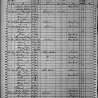 Ellen Toomey; 1860 Census