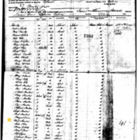 Margaret and Michael Sheridan on Ship Manifest