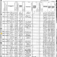Julia O'Dea; 1880 Census