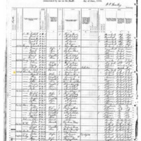 Margaret and Michael Sheridan; 1880 Census