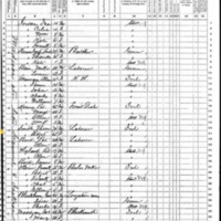 Thomas and Bridget Smith; 1870 Census