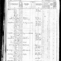 William Gaynor; 1870 Census