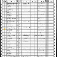 Hugh Darcy; 1860 Census