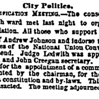 John Creegan and Democrats; NY Herald