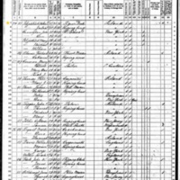 William Fitzpatrick; 1870 Census