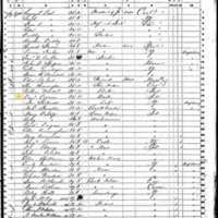 Daniel Owens; 1850 Census