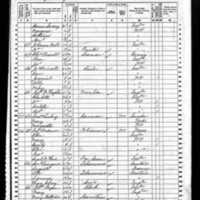 Johanna Wall; 1860 Census