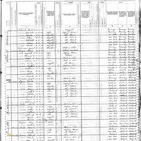 Patrick Crowe; 1880 Census