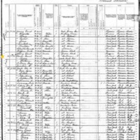 Daniel Finn; 1880 Census