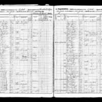 Andrew McNulty; 1855 Census