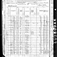 Peter Devlin; 1880 Census