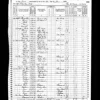 Timothy Driscoll; 1870 Census