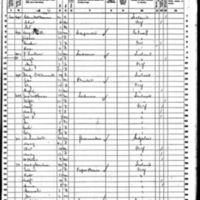Margaret Fallon; 1860 Census