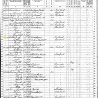 Emily Toohill Colton; 1870 Census