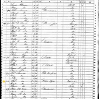Thomas and Bridget Smith; 1850 Census