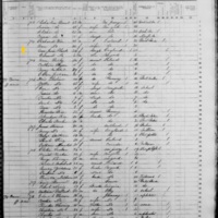 Ann Weir; 1855 Census