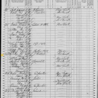 Patrick Foley; 1870 Census