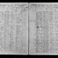 Margaret Hanley; 1855 Census