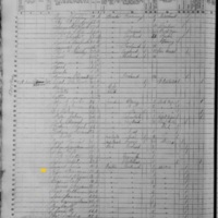 John Brogan; 1855 Census